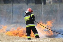 Strażacy coraz częściej wyjeżdżają do gaszenia pożarów traw